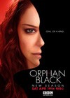 Orphan Black (2013).jpg
